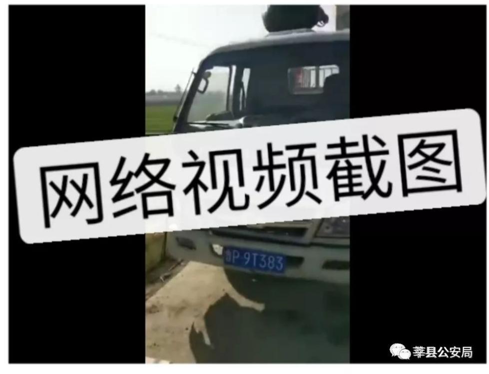 为保母猪不失重,山东男子小河边给猪灌水...警方通报! 为保母猪不失重,山东男子小河边给猪灌水...警方通报!