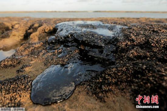 巴西海岸原油污染影响大 已扩散至座头鲸保护区