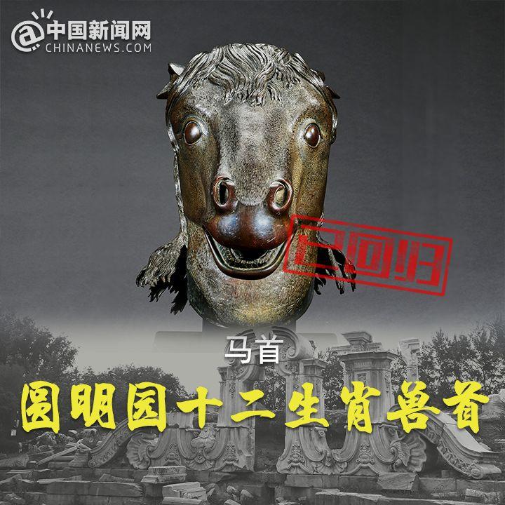 圆明园马首回家!十二兽首中有七尊回归