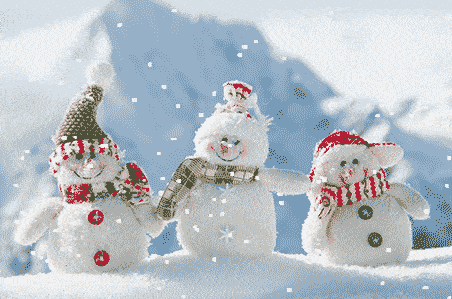 雪地代写? 南方人的钱这么好赚吗