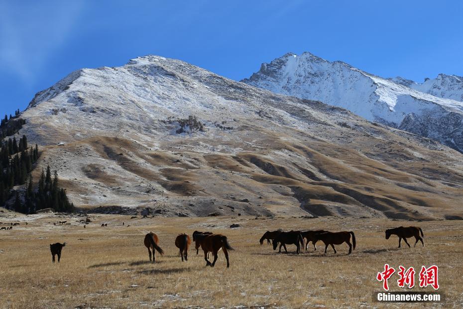 位于昭苏县喀夏加尔镇的阿合牙孜大峡谷,冬日里,四面山峰银装素裹.