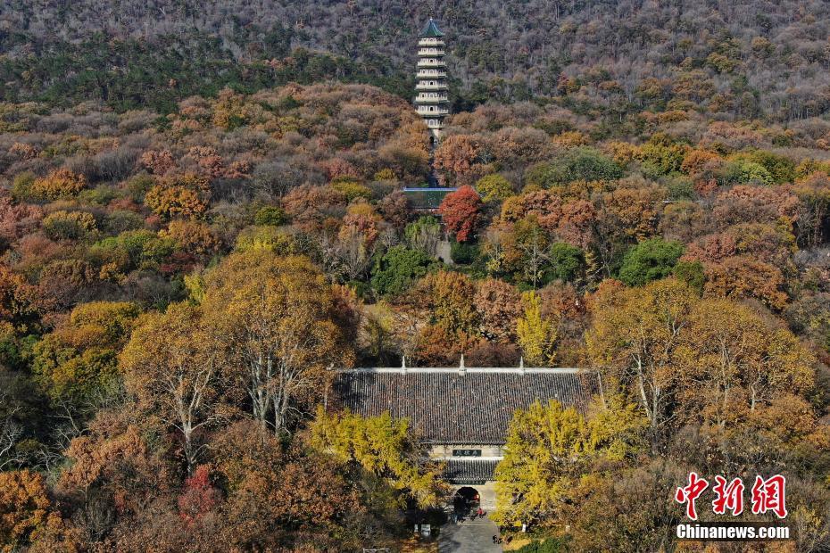 航拍南京紫金山冬日美色