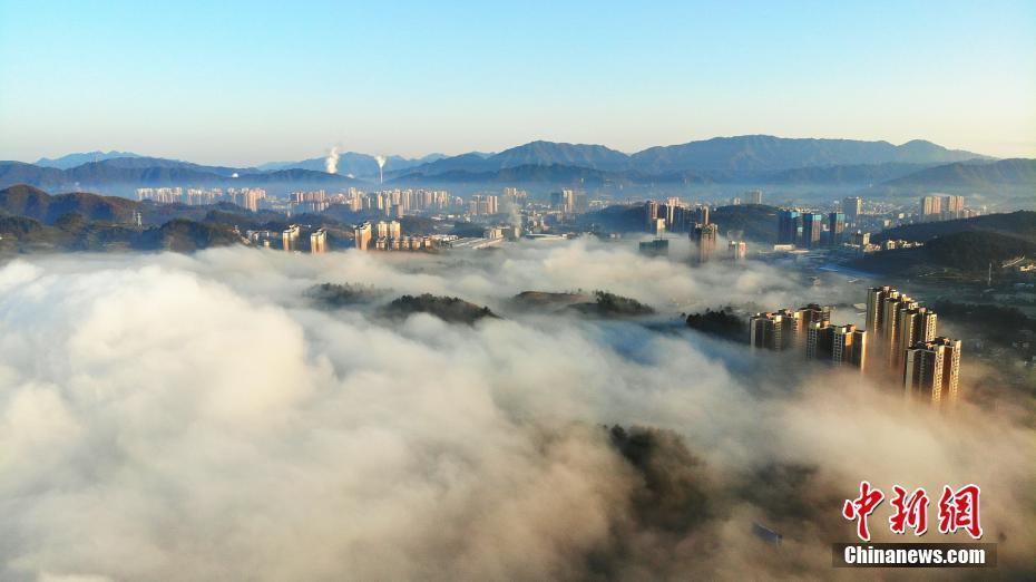 图为航拍贵州习水城区雾景 牟进