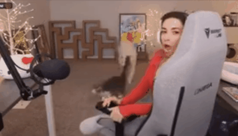 外国游戏女主播扔猫踹狗还喂酒?当事人道歉,网友却这样说.