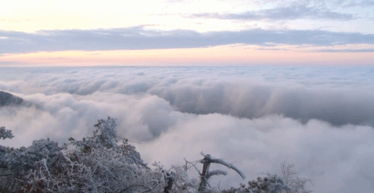 19日下午,江西庐山雪霁初晴,在庐山的小天池出现壮观的日晕云海美景.