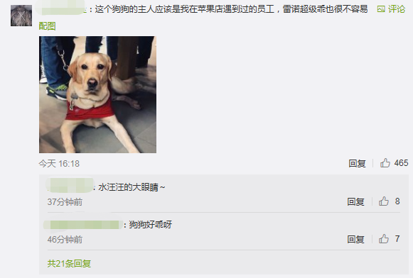 上海地铁一男子多次骚扰导盲犬，女孩制止被骂了一路