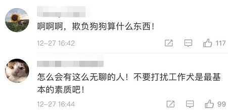 上海地铁一男子多次骚扰导盲犬，女孩制止被骂了一路