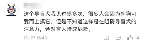 上海地铁一男子多次骚扰导盲犬，女孩制止被骂了一路