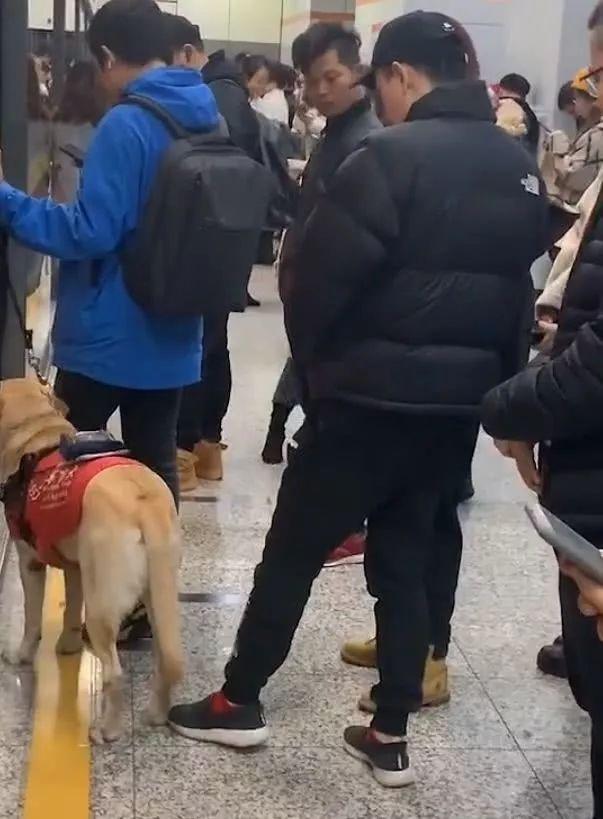 上海地铁一男子多次骚扰导盲犬，女孩制止被骂了一路