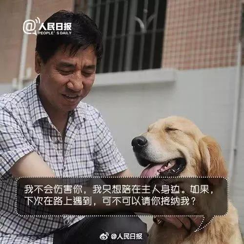 上海地铁一男子多次骚扰导盲犬，女孩制止被骂了一路