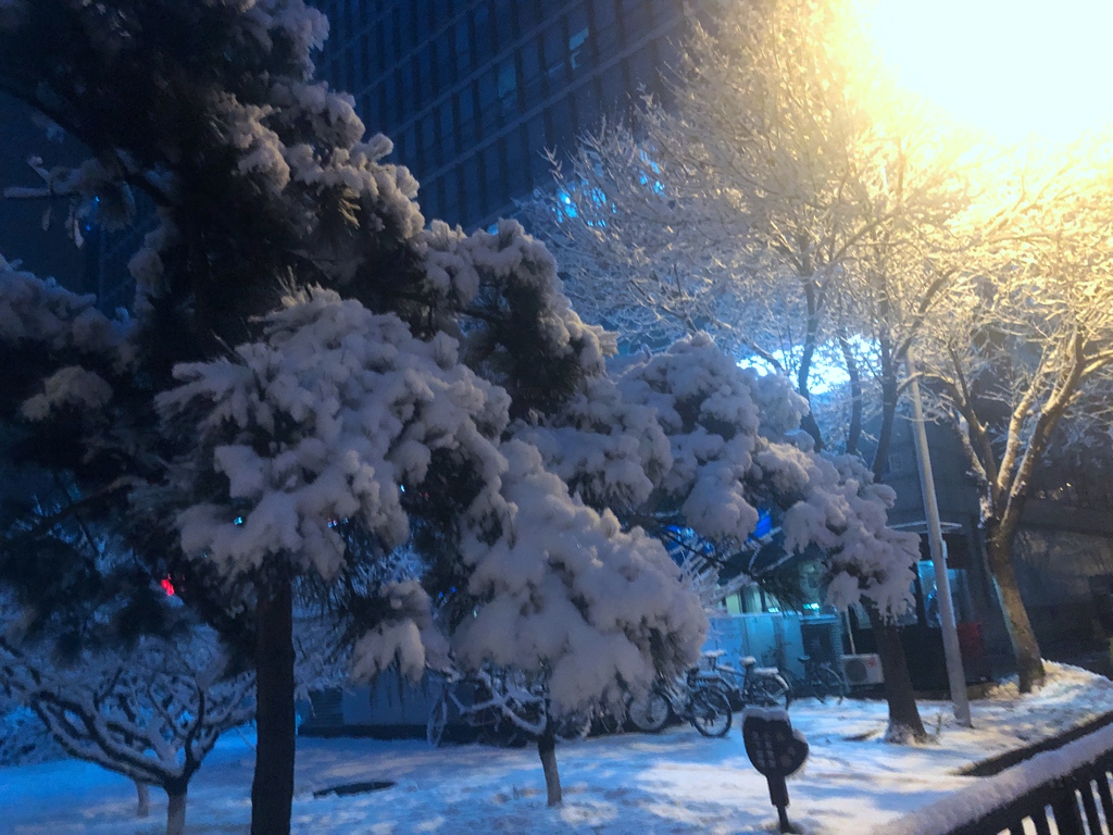 2020北京第一场雪来了,昨夜今晨的雪景,太美!