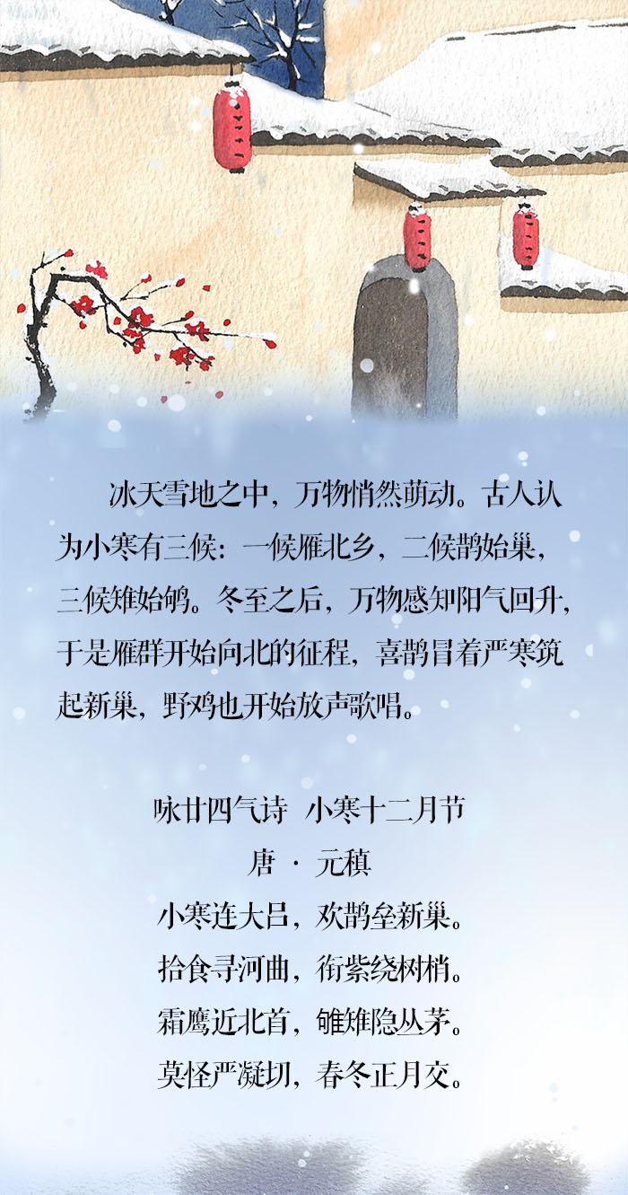 小寒·长卷丨梅花先趁小寒开,到诗词里踏雪寻梅