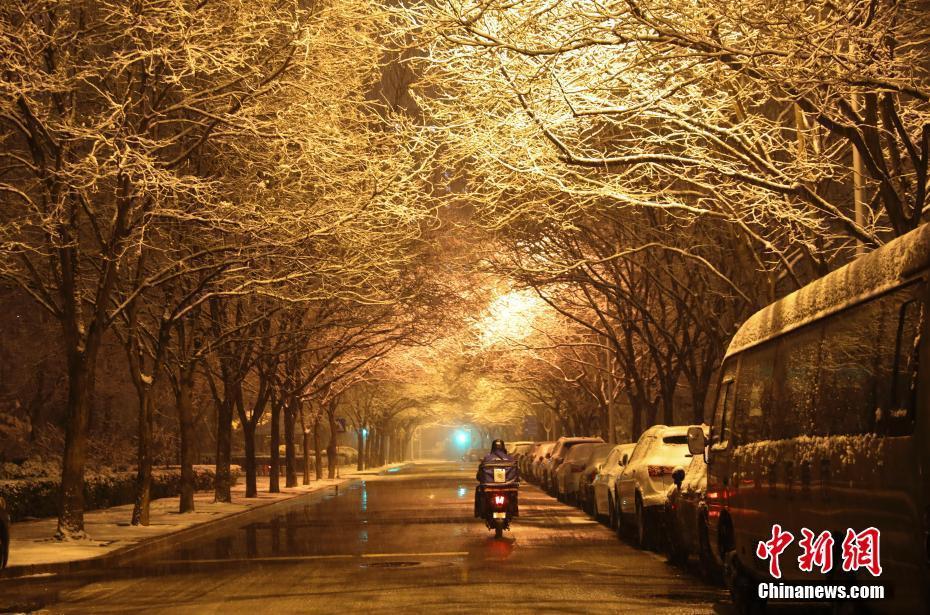 2020年北京第一场雪 市民街头拍摄雪后美景