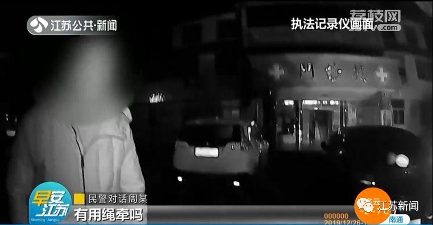 拉布拉多过马路，欢脱一跑出事了