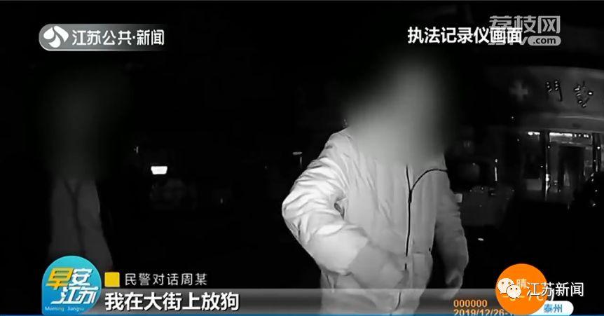 拉布拉多过马路，欢脱一跑出事了