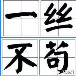 拉布拉多过马路，欢脱一跑出事了