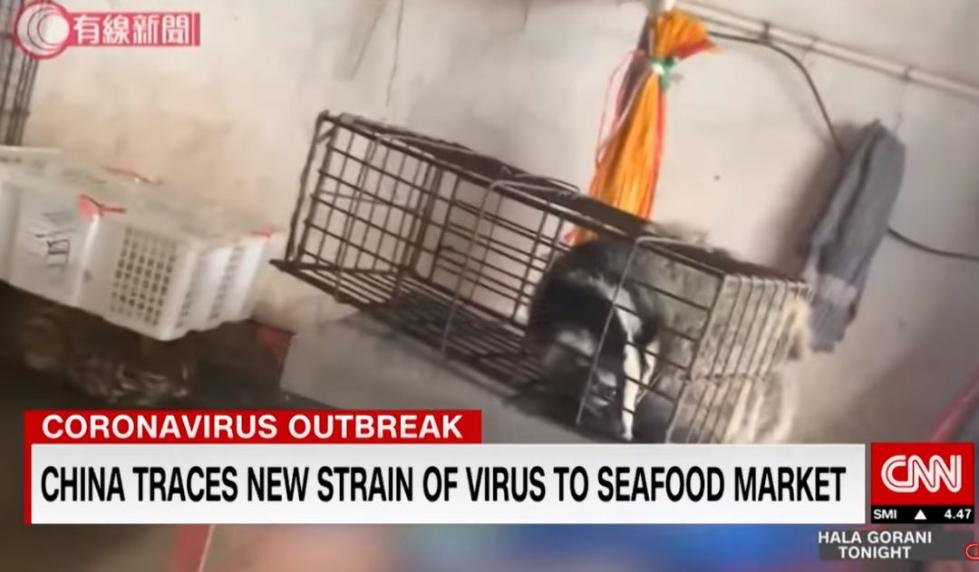 耿直哥：再说一遍，不要吃野味了！