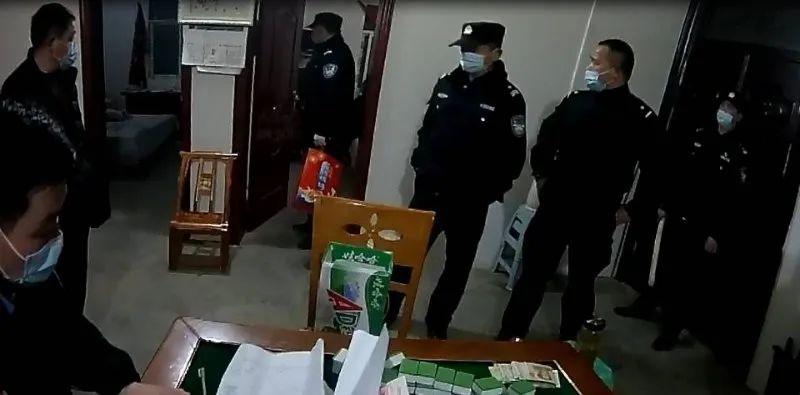 3条狼狗看门，这伙人躲养猪场聚赌，栽了