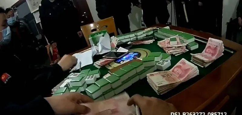 3条狼狗看门，这伙人躲养猪场聚赌，栽了