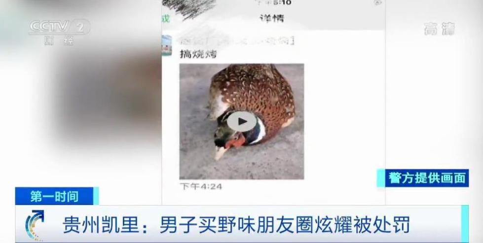贵州凯里:男子买野味发朋友圈炫耀被处罚