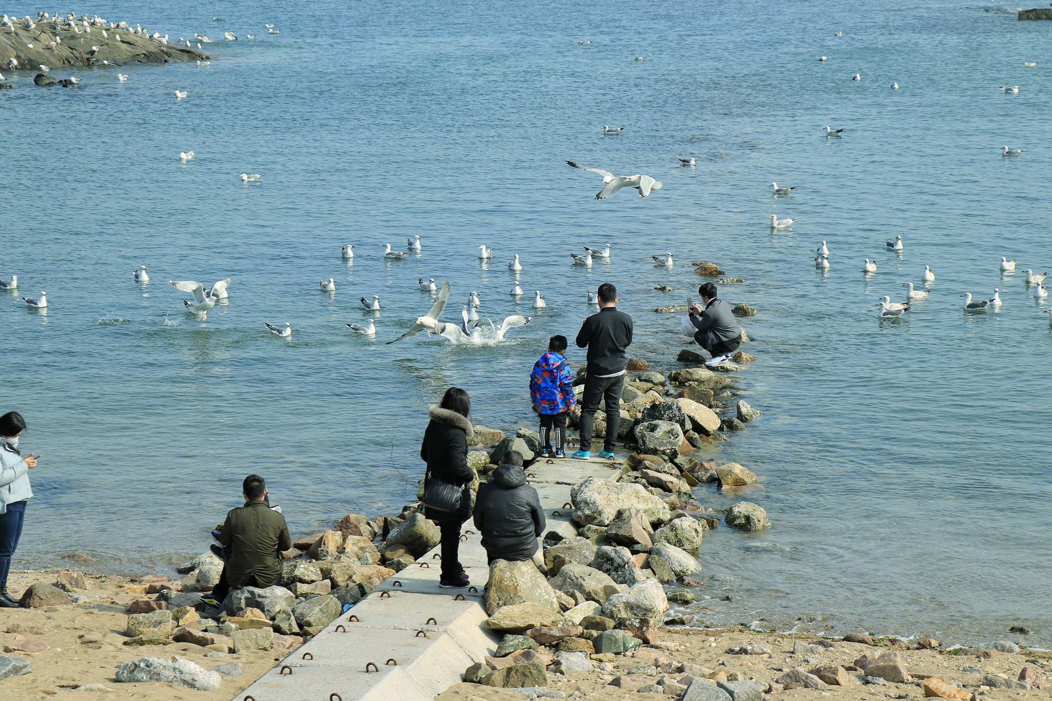 青岛海边风景好 市民垂钓好去处