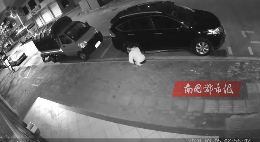 奇葩！海南琼海一男子深夜当街“嗯嗯”，同一个位置，5次！原因竟是……