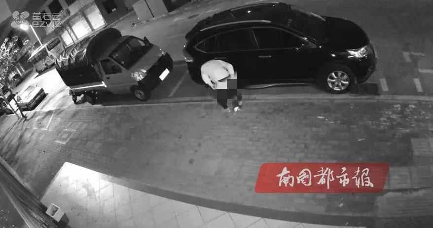 奇葩！海南琼海一男子深夜当街“嗯嗯”，同一个位置，5次！原因竟是……