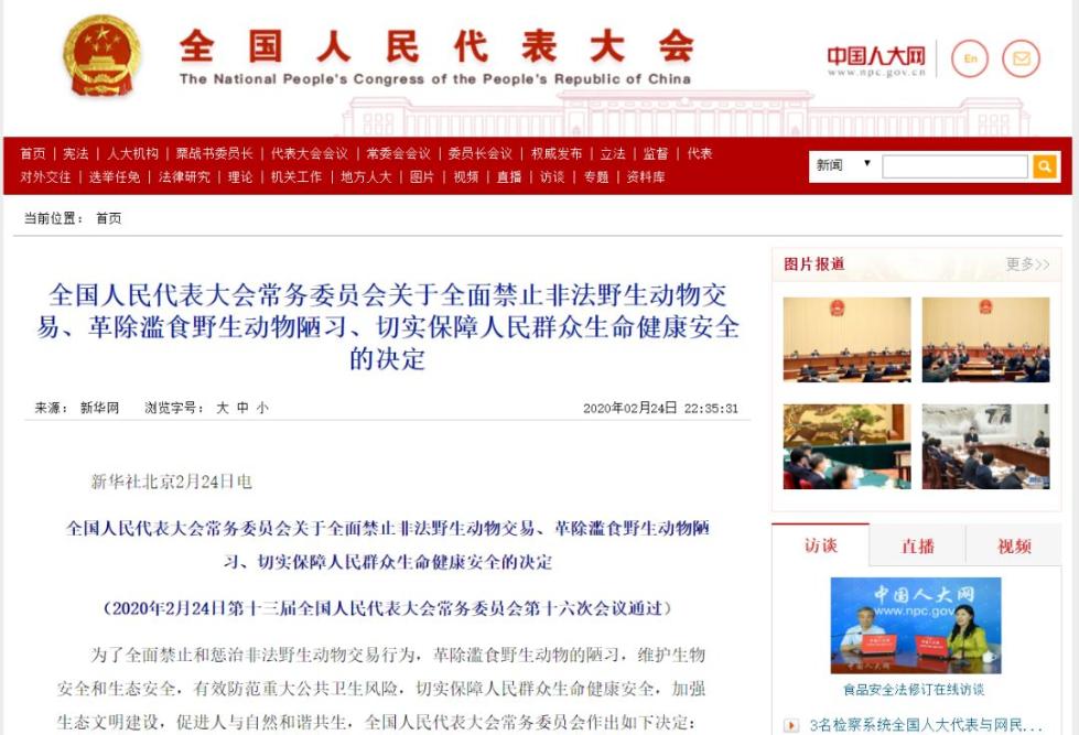 柳州人注意！吃竹鼠等人工饲养的野生动物？罚！
