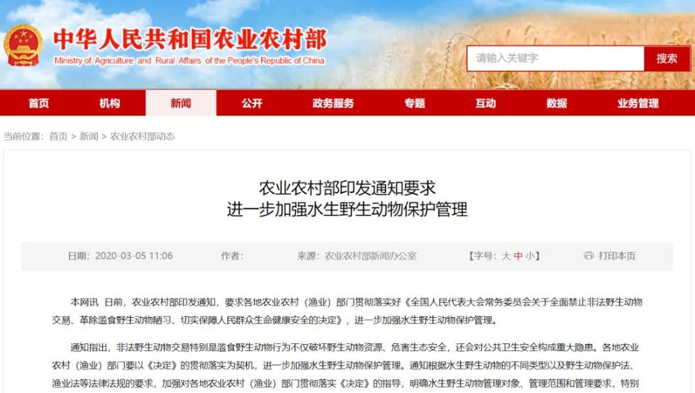 柳州人注意！吃竹鼠等人工饲养的野生动物？罚！