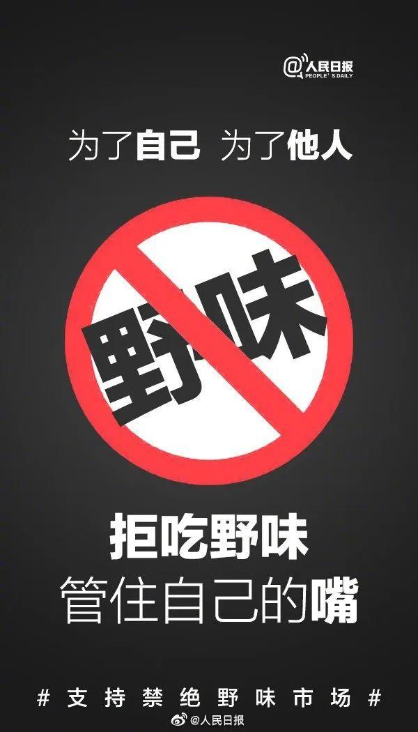 柳州人注意！吃竹鼠等人工饲养的野生动物？罚！