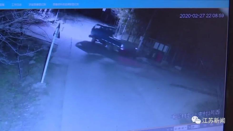 男子“蚂蚁搬家”偷拔30棵树，全种到自家地里！民警的处罚方式亮了