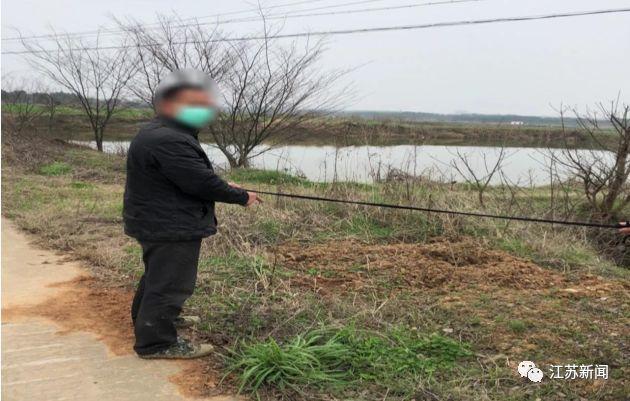 男子“蚂蚁搬家”偷拔30棵树，全种到自家地里！民警的处罚方式亮了