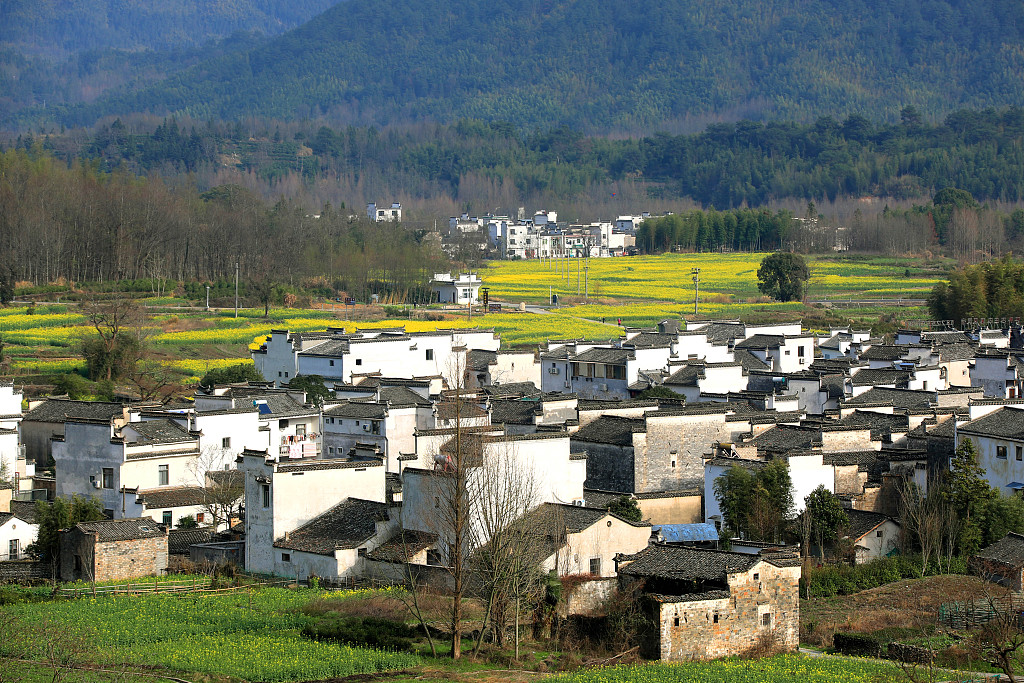 安徽黄山皖南乡村春色如画