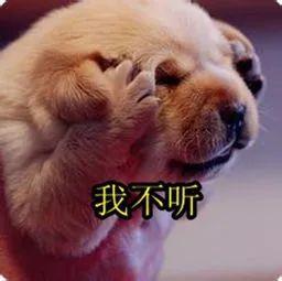 她被带回派出所后咳嗽不止？民警一句话吓得她“病”立马好了