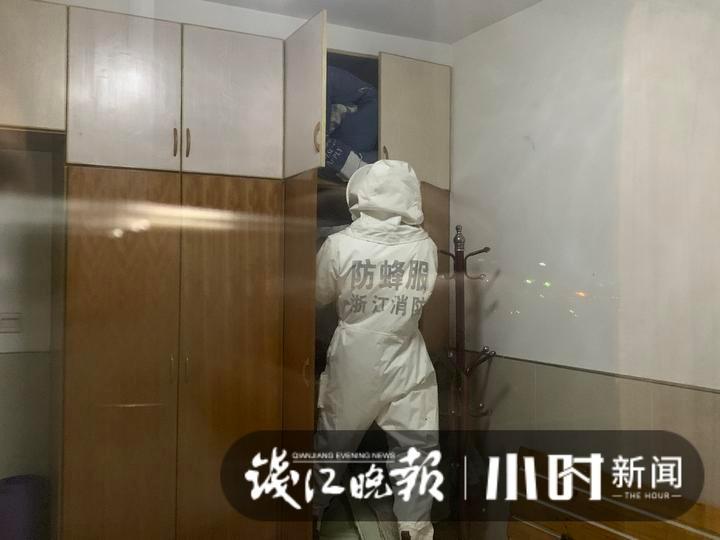 蜜蜂又突袭，十个小时不到筑出橄榄球大小蜂窝，房主崩溃求助