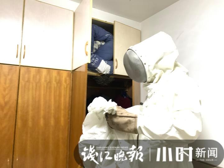 蜜蜂又突袭，十个小时不到筑出橄榄球大小蜂窝，房主崩溃求助
