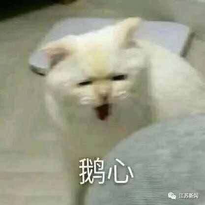 男子半夜在女厕外鬼鬼祟祟，民警搜出一大包奇奇怪怪的东西...