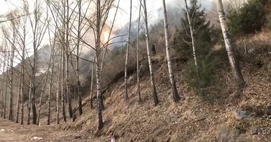 ?山西五台山风景名胜区发生一起火情 正全力扑救