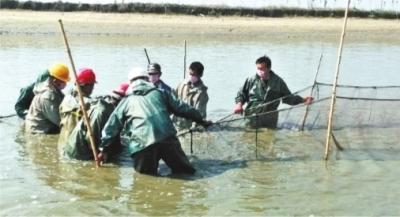 “鲜鱼进社区”覆盖武汉全市1476个社区