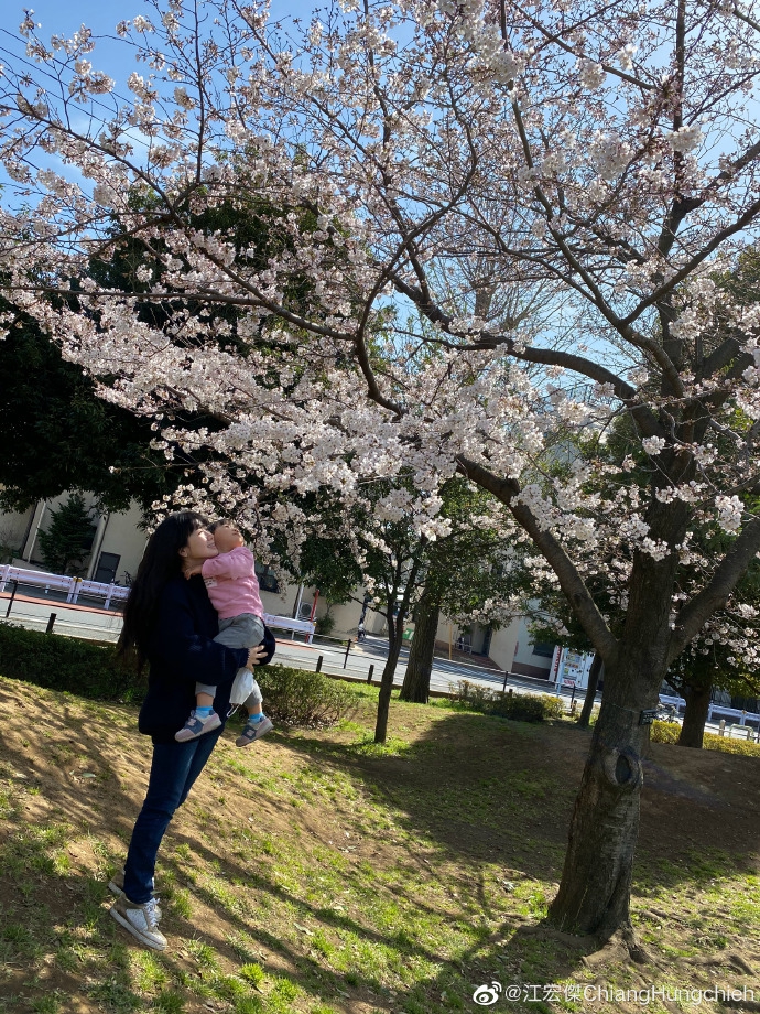 江宏杰晒子女近照 福原爱抱女儿站樱花树下画面超美