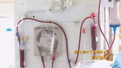 “如果不透析,存活率为零”疫情下 武汉七千多名血透患者的“生命线”这样被守护