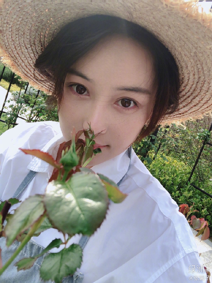 张馨予化身美丽园丁 戴草帽嗅花浅笑尽显温柔贤惠