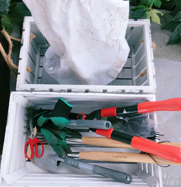 张馨予化身美丽园丁 戴草帽嗅花浅笑尽显温柔贤惠