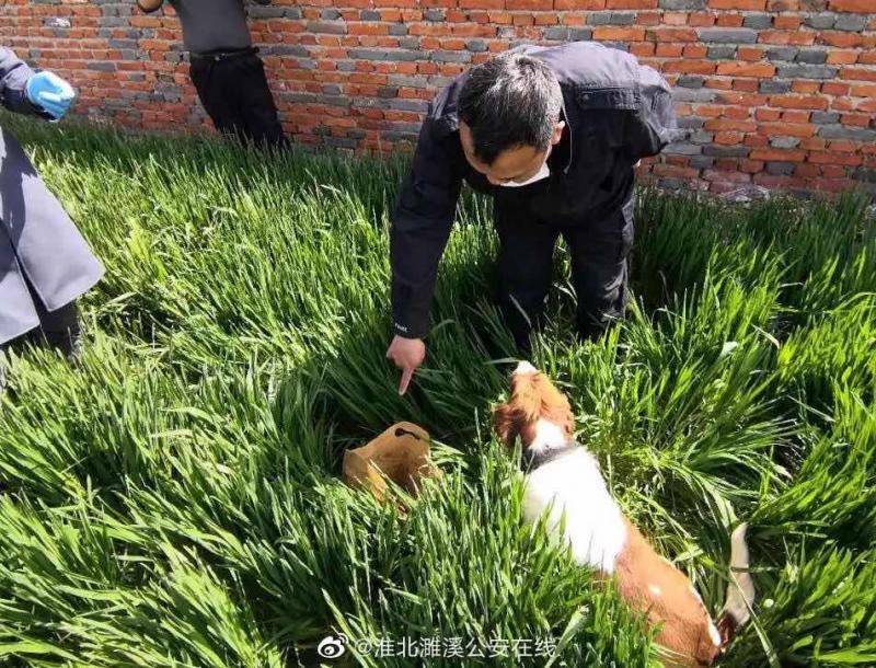 安徽濉溪一患者4万元治病钱被盗 警犬5分钟寻回