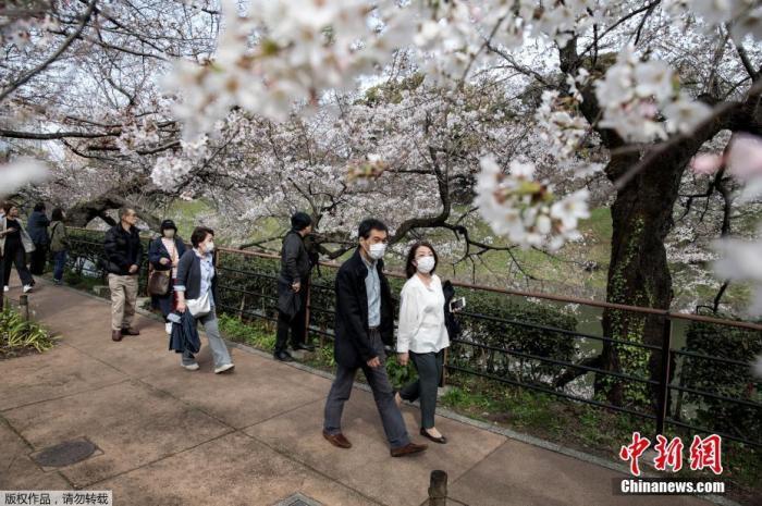 日本专家会议最新报告：新冠肺炎疫情蔓延的可能性很高