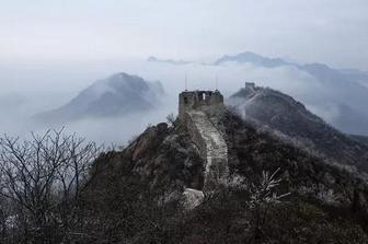 战疫关口莫松劲,如何防范“虫媒传染病”?