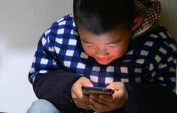 战疫关口莫松劲,如何防范“虫媒传染病”?