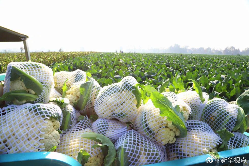 小龙虾、莲藕、脐橙……“鄂货”等你来盘它！