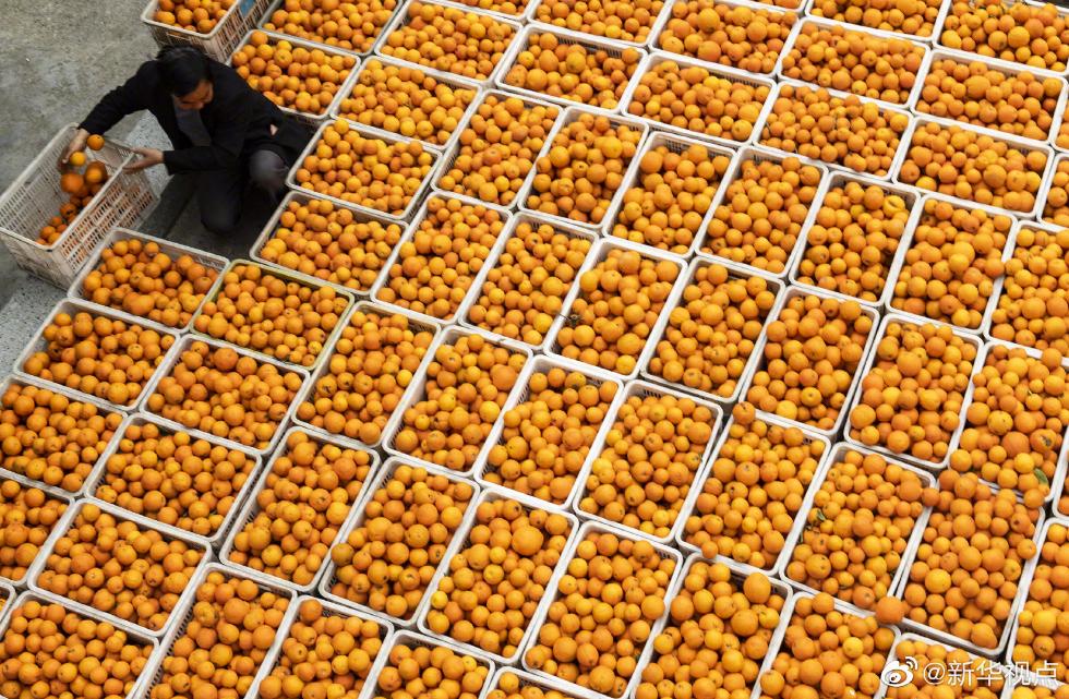 小龙虾、莲藕、脐橙……“鄂货”等你来盘它！