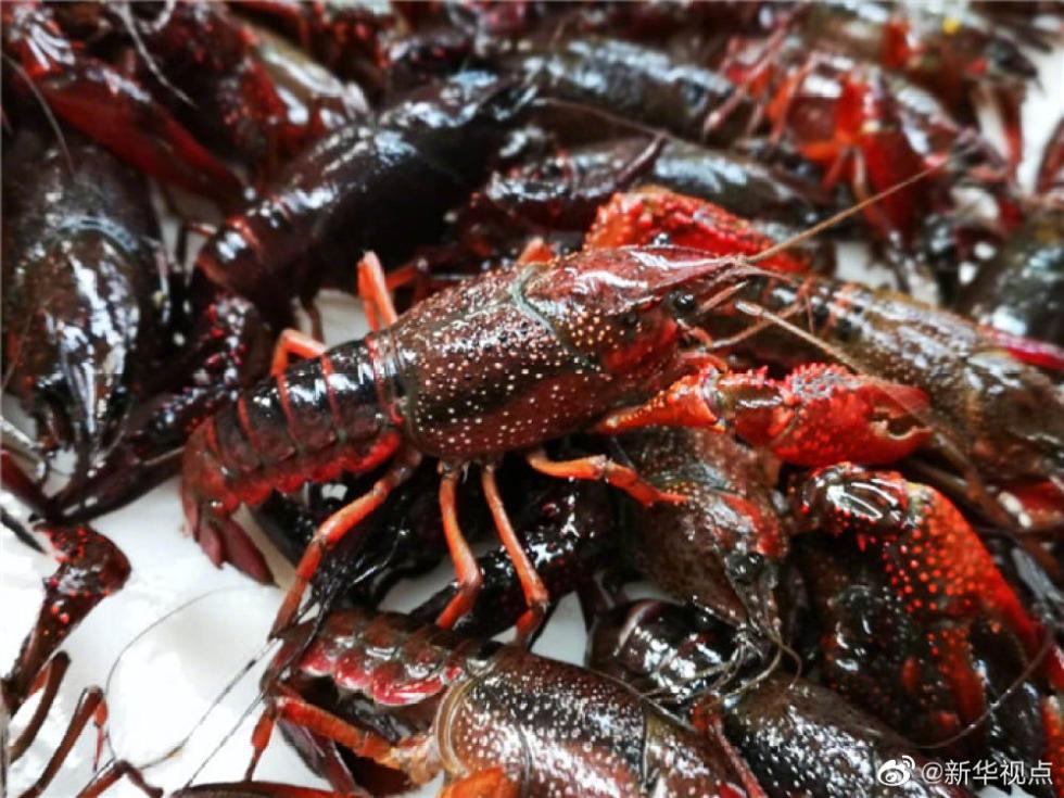 小龙虾、莲藕、脐橙……“鄂货”等你来盘它！